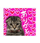 ねいるちゃんの挨拶❤️猫（個別スタンプ：6）