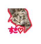 ねいるちゃんの挨拶❤️猫（個別スタンプ：14）
