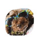 ショコラしゃべっちゃいました（個別スタンプ：4）