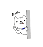きなりいぬ（個別スタンプ：35）