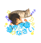 ていねい語ベビー（個別スタンプ：7）