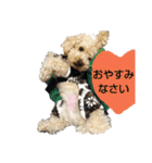tarou's everyday（個別スタンプ：1）