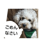 tarou's everyday（個別スタンプ：3）