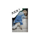 tarou's everyday（個別スタンプ：4）