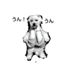 tarou's everyday（個別スタンプ：6）