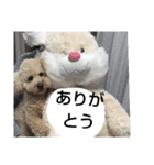 tarou's everyday（個別スタンプ：8）