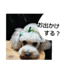tarou's everyday（個別スタンプ：10）