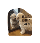 tarou's everyday（個別スタンプ：14）