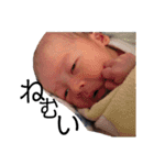 とんたん 第1弾（個別スタンプ：4）