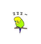 インコのリアルかわいいペットスタンプ（個別スタンプ：2）