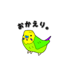 インコのリアルかわいいペットスタンプ（個別スタンプ：6）