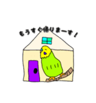 インコのリアルかわいいペットスタンプ（個別スタンプ：8）