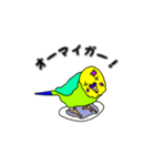 インコのリアルかわいいペットスタンプ（個別スタンプ：14）