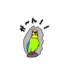 インコのリアルかわいいペットスタンプ（個別スタンプ：15）