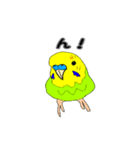 インコのリアルかわいいペットスタンプ（個別スタンプ：17）
