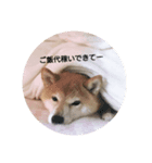 空くんのスタンプです。（個別スタンプ：3）