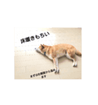 空くんのスタンプです。（個別スタンプ：4）