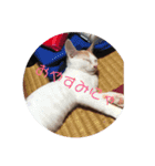 友達に使おう（個別スタンプ：2）