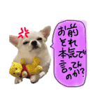 ちょげの毎日（個別スタンプ：2）