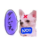 ちょげの毎日（個別スタンプ：10）