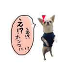 ちょげの毎日（個別スタンプ：11）