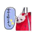 ちょげの毎日（個別スタンプ：12）