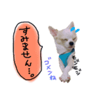 ちょげの毎日（個別スタンプ：13）