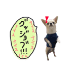 ちょげの毎日（個別スタンプ：15）