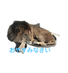 動物癒し系 のんびり（個別スタンプ：2）