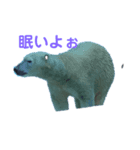 動物癒し系 のんびり（個別スタンプ：3）