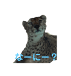 動物癒し系 のんびり（個別スタンプ：4）