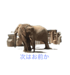動物癒し系 のんびり（個別スタンプ：7）