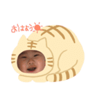 りくじろうスタンプすりー（個別スタンプ：1）