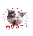 ユキさんスタンプ(其の三)（個別スタンプ：2）