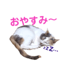 ユキさんスタンプ(其の三)（個別スタンプ：4）