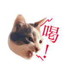 ユキさんスタンプ(其の三)（個別スタンプ：9）