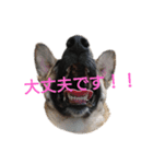 ピコピヨプーの日常。（個別スタンプ：4）