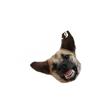 ピコピヨプーの日常。（個別スタンプ：6）