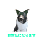 ピコピヨプーの日常。（個別スタンプ：8）