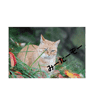自然と言葉（個別スタンプ：1）