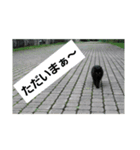 自然と言葉（個別スタンプ：8）