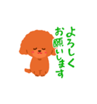 トイプードルのマカロン（個別スタンプ：6）