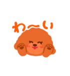 トイプードルのマカロン（個別スタンプ：9）