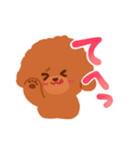 トイプードルのマカロン（個別スタンプ：14）