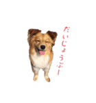 そらまわり（個別スタンプ：11）