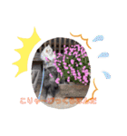 しじみ屋のしじみ（個別スタンプ：9）
