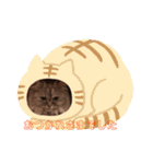 しじみ屋のしじみ（個別スタンプ：26）