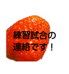 部活連絡(保護者)文字だけシンプルイチゴ（個別スタンプ：2）