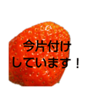 部活連絡(保護者)文字だけシンプルイチゴ（個別スタンプ：5）