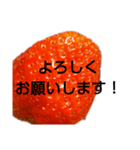 部活連絡(保護者)文字だけシンプルイチゴ（個別スタンプ：7）